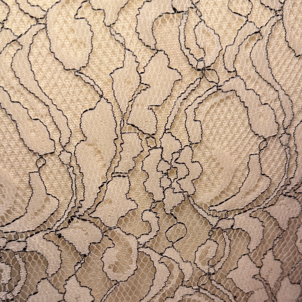 LOFT Cream Lace Blouse - Picture 8 of 16